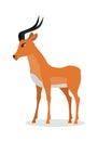 Antelope Impala Cartoon Icon in Flat Design Royalty Free Stock Photo