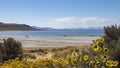 Antelope Island Beach Royalty Free Stock Photo