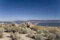 Antelope Island State Park in Utah Royalty Free Stock Photo