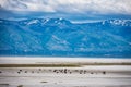 Antelope Island State Park in Utah, with mountains in background Royalty Free Stock Photo