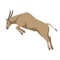 Antelope jumps vector illustration