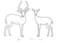 Antelope Male with horns and female. Mammals of Central Africa. Coloring pages. Isolated over white background Royalty Free Stock Photo