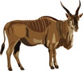 Antelope Series ELAND