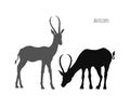 Antelope silhouettes. Isolated african animals scene. Black Landscape of wild Africa. Zoo poster. Savannah wildlife