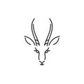 Antelope springbok. Outline style. Isolated animal on white background