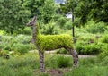 Antelope topiary on display at the Fort Worth Botanic Garden, Texas.