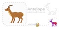 Antelope flat illustration icon