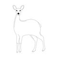 Antelope , vector illustration, lining draw,front