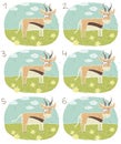 Antelope Visual Game