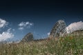 Antenna Royalty Free Stock Photo