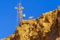 Antenna and Nubian Ibex on the edge of Makhtesh Ramon Royalty Free Stock Photo