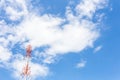 Antenna Tower of Communication Royalty Free Stock Photo