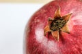 Anthers on ripe fruit up close. Stamen cluster. Rind outer skin of pomegranate. Red ripe pomegranate fruit against a white