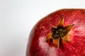 Anthers on ripe fruit up close. Stamen cluster. Rind outer skin of pomegranate. Red ripe pomegranate fruit against a white