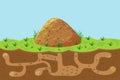 Anthill with holes and passages, sectional view underground. Vector cartoon of hill with termites outside and inside.