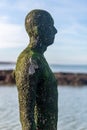 Anthony Gormley statue Margate Kent England Royalty Free Stock Photo