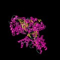 Anthrax toxin lethal factor. Crystal structure of toxin produced by bacterium Bacillus anthracis. Medical background