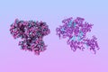 Anthrax toxin lethal factor. Molecular and crystal structure of anthrax toxin produced by bacterium Bacillus anthracis