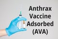 Anthrax Vaccine Adsorbed (AVA) title topic vaccination Royalty Free Stock Photo