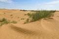 In the anthropogenic Black Lands desert. Republic of Kalmykia Royalty Free Stock Photo