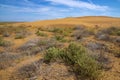 In the anthropological desert of the Black Lands on a sunny day. Republic of Kalmykia Royalty Free Stock Photo