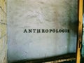 Anthropologie Logo on the side of a building