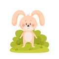 Anthropomorphic cute rabbit standing on grass