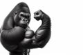 Anthropomorphic gorilla monkey bodybuilder showing biceps on solid white background copy space. ai generative