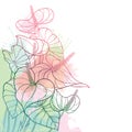 Vector corner bouquet of outline tropical plant Anthurium or Anturium flower bunch and leaves in pastel red and pink isolated.