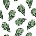 Anthurium crystal watercolor seamless pattern