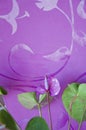 anthurium flower. flowering nature closeup. macro of flowering tailflower plant. purple exotic laceleaf flower. natural flower
