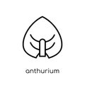 Anthurium icon. Trendy modern flat linear vector Anthurium icon