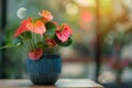 Anthurium (tailflower, flamingo flower, laceleaf) in Flowerpot Closeup, Anthurium Macro House Plant Royalty Free Stock Photo