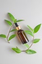 Anti aging serum in a dark glass bottle on a gray background with green leaves. Facial liquid serum with collagen and peptides Royalty Free Stock Photo