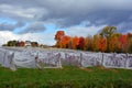 Anti bird netting to stop birds damaging