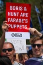 Anti-Brexit campaigners at the March For Change protest demonstration.