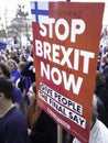 Anti Brexit protester holding a placard. London, March 2019