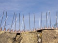 Anti-climb spikes deter people from entering a property