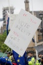 Anti Donald Trump Protesters in Central London