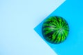 anti stres squishy toy watermelon on a blue background Royalty Free Stock Photo