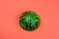 Anti stres squishy toy watermelon on a coral background Royalty Free Stock Photo