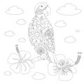 Anti stress abstract parrot, flowering hand drawn antistress page doodle style monochrome