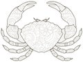 Anti stress coloring book for adults. Crustacean on the bottom of the river. Cancer or shrimp. Crab Black lines