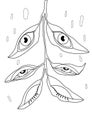 Anti stress Coloring Book page for adult. Eyes, leaves. raindrops Royalty Free Stock Photo
