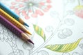 Anti stress coloring hobby for busy adults