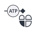 Anti-tachycardia Pacing Symbol. Right Ventricular Version. Royalty Free Stock Photo