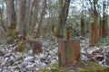 Anti-tank barrier or obstacles made from steel rail and buried to the ground from the 2nd World War.