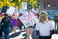 Anti-Trump message at the 2018 Women`s March in Santa Ana.