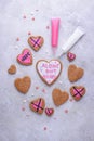 Anti-Valentine day concept. Cookies Alone but happy.