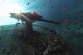 Antiaircraft gun of ss thistlegorm Royalty Free Stock Photo